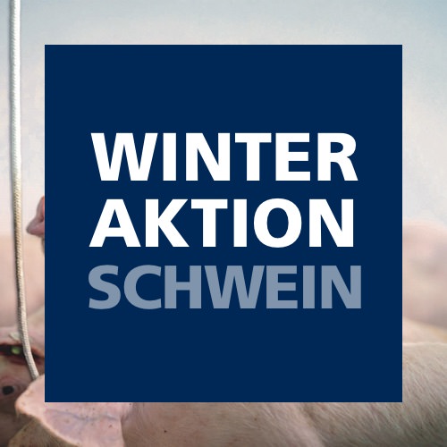 Winteraktion Schwein 2025