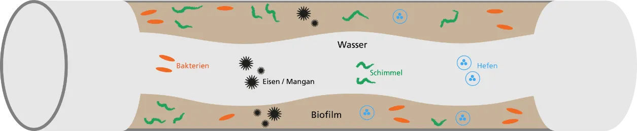 Problemstellung Biofilm