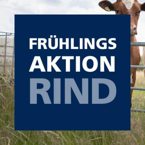 Frühlingsaktion Rind 2026