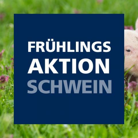 Frühlingsaktion Schwein 2021