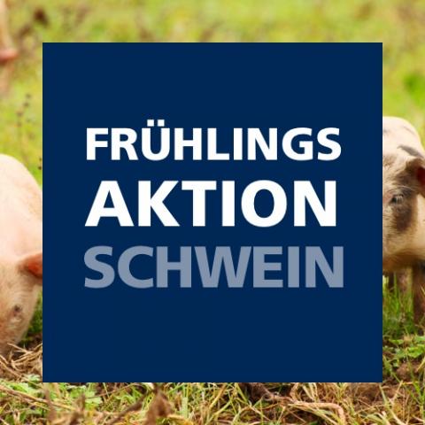 Frühlingsaktion Schwein 2022