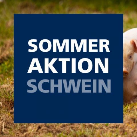 Sommeraktion Schwein 2021