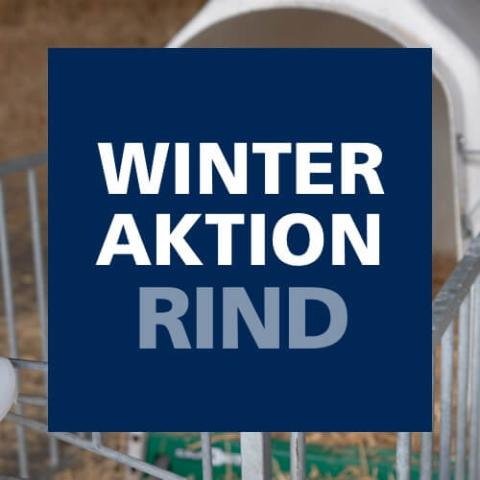 Winteraktion Rind 2026