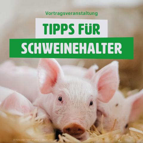 Gemeinsame Vortragsveranstaltung „Tipps für Schweinehalter“ von der LWK NRW und der GFS