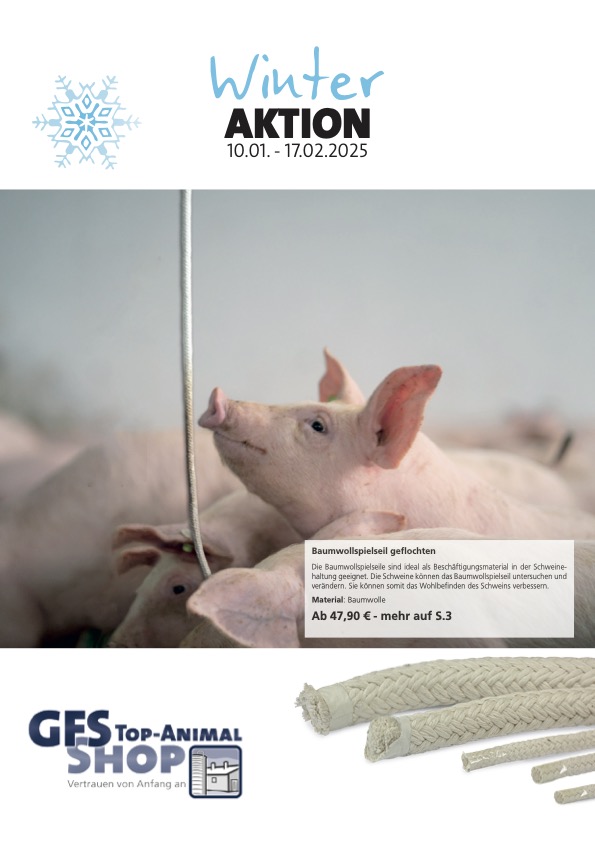 Winteraktion Schwein