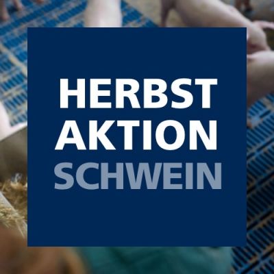 Herbstaktion Schwein 2024