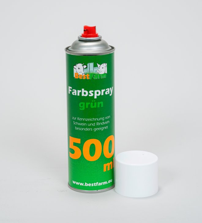 Farbspray Big (500 ml) #4