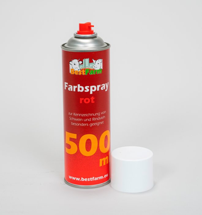 Farbspray Big (500 ml) #6