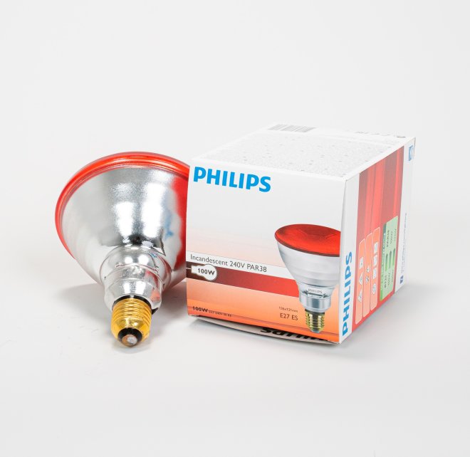 Infrarotsparlampe rot 100 W Philips (12 Stk) #2