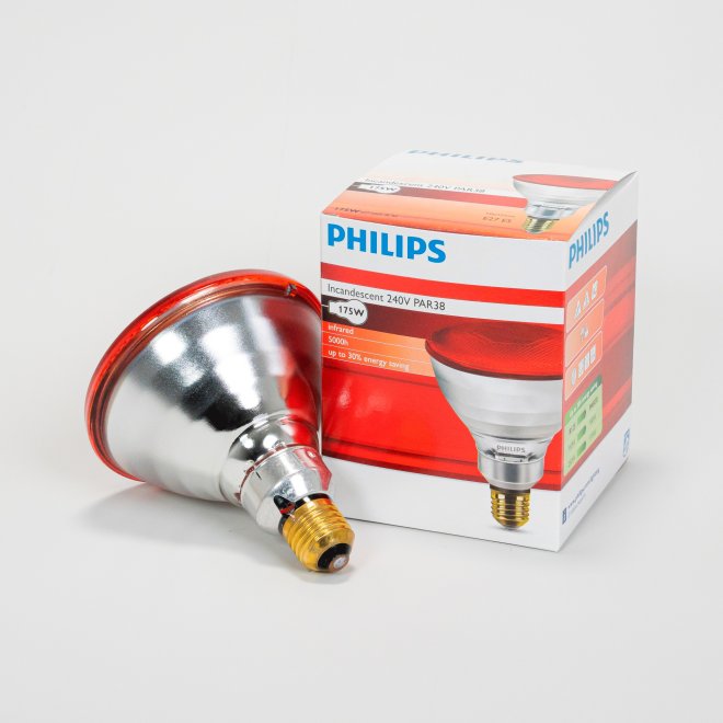 Infrarotsparlampe rot 175 W Philips (12 Stk) #1