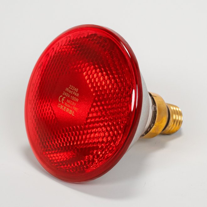 Wärmesparlampe Infrarot 100 W, rot (12 Stk) #2