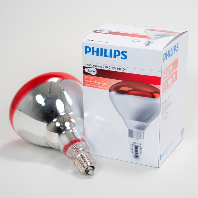 Infrarotlampe Hartglas rot 150 W Philips (10 Stk) #1