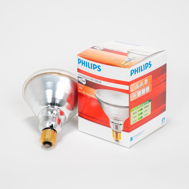 Infrarotsparlampe weiß 175 W Philips (12 Stk) #1