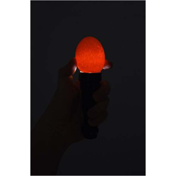 LED Schierlampe #2