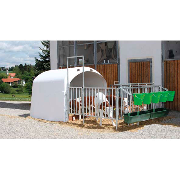 Calf-House 5 Premium mit Zaun #2