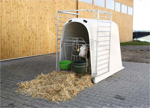 Calf-House Premium Plus mit Zaun #2