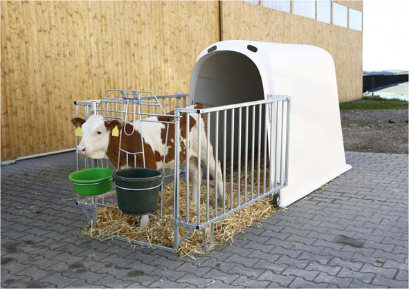 Calf-House Premium Plus mit Zaun #1