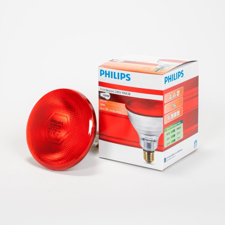 Infrarotsparlampe rot 100 W Philips (12 Stk)