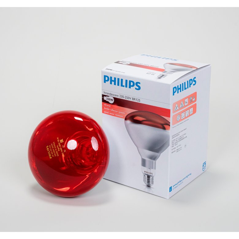 Infrarotlampe Hartglas rot 250 W Philips (10 Stk)
