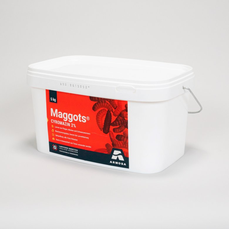Maggots Fliegen Maden Ex (5 kg)