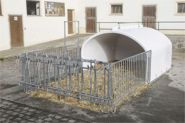 Calf-House Premium XXL mit Zaun