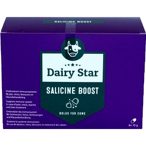 DairyStar Salicine Boost Bolus (8 Stk.)