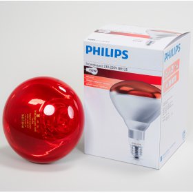 Infrarotlampe Hartglas rot 150 W Philips (10 Stk)